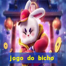 jogo do bicho documentario globoplay